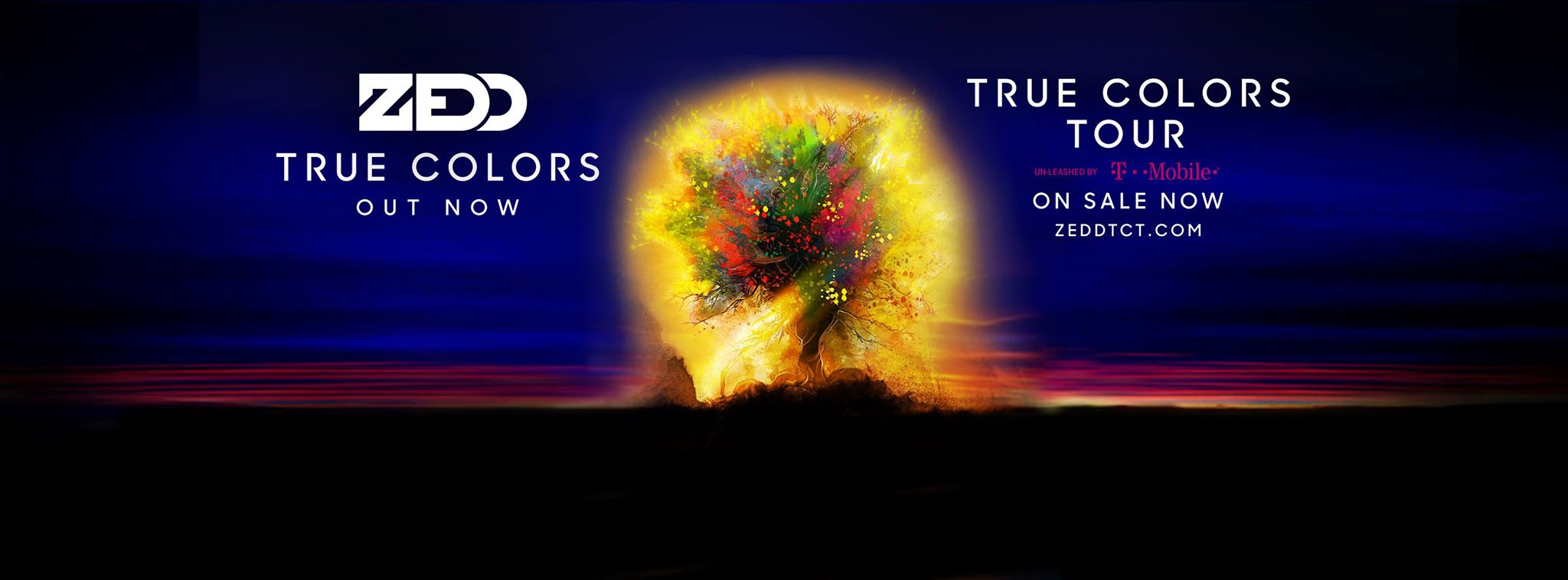 Zedd true Colors Tour